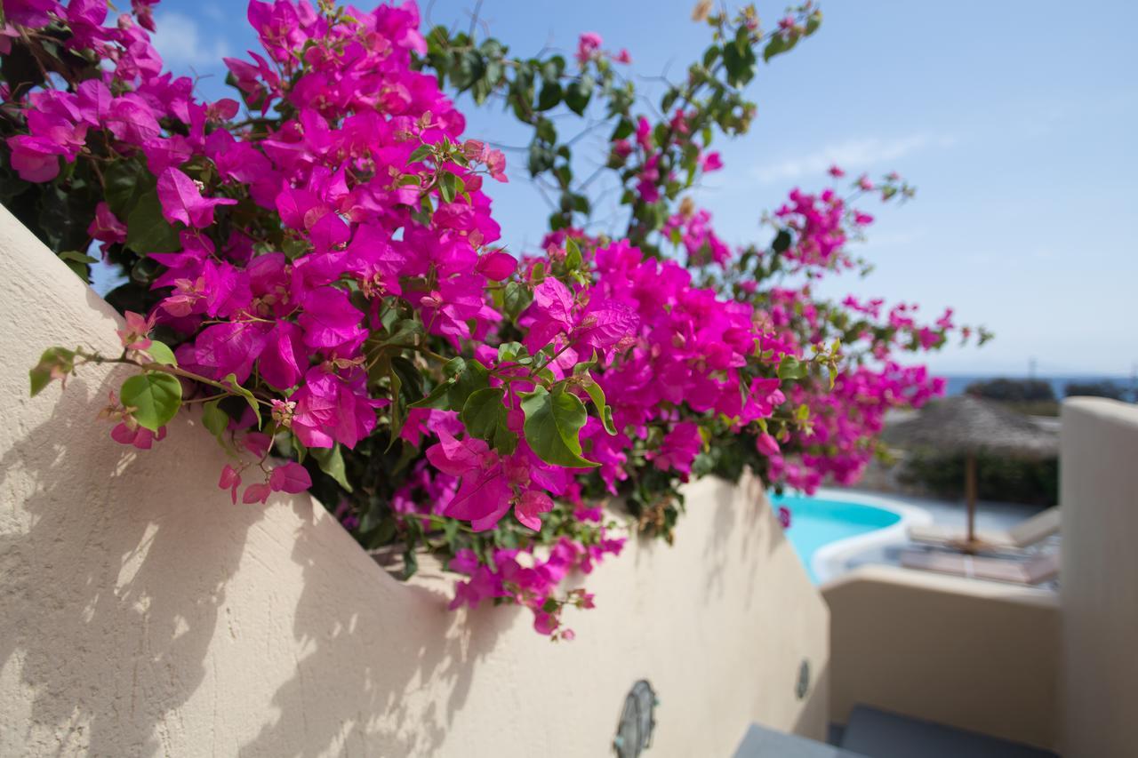 Theros Houses Santorini Καμάρι Εξωτερικό φωτογραφία